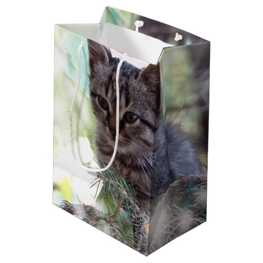 Kitten Kersttijd Gift Bag - Medium, Mat Medium Cadeauzakje (Achterkant Gekanteld)