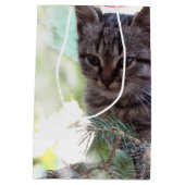 Kitten Kersttijd Gift Bag - Medium, Mat Medium Cadeauzakje (Achterkant)