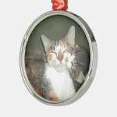 Kitten Kiss Metalen Ornament (Links)