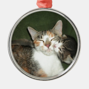 Kitten Kiss Metalen Ornament