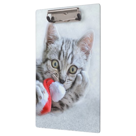 Kitten Klembord (Links)