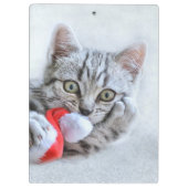 Kitten Klembord (Achterkant)