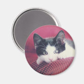 Kitten Koelkast Magnet Magneet (Voorkant / Achterkant)