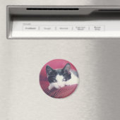 Kitten Koelkast Magnet Magneet (Insitu (Vaatwasser))