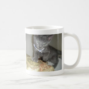 Kitten Koffiemok