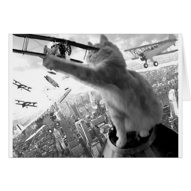 Kitten Kong (Voorkant Horizontaal)