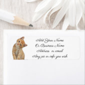 Kitten Labels (Insitu)