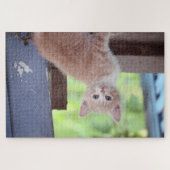 Kitten Legpuzzel (Horizontaal)