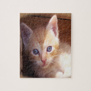 Kitten Legpuzzel