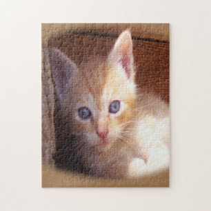 Kitten Legpuzzel