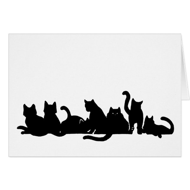 Kitten Line (Voorkant Horizontaal)