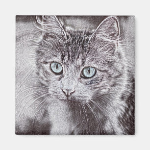Kitten Love Cute Kitty Cat with Luminous Blue Eyes Magneet