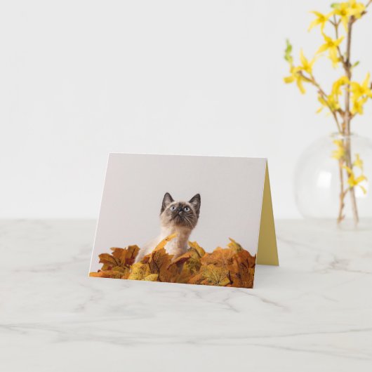 Kitten Love Kaart (Gele Bloem)