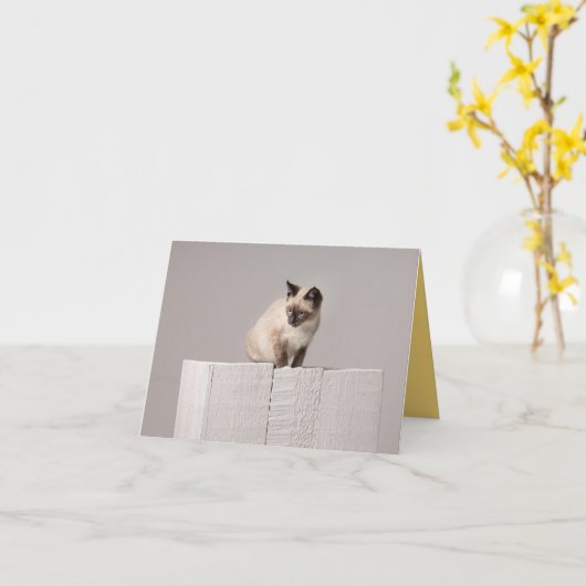 Kitten Love Kaart (Gele Bloem)