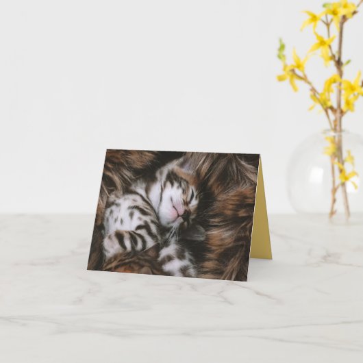 Kitten Love Kaart (Gele Bloem)