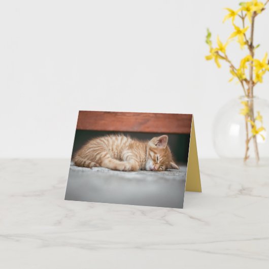 Kitten Love Kaart (Gele Bloem)