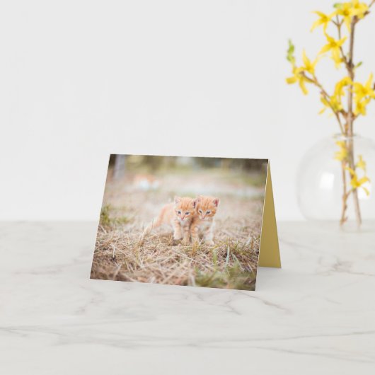 Kitten Love Kaart (Gele Bloem)