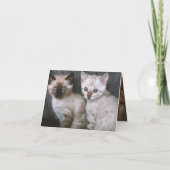 Kitten Love Kaart (Achterkant)