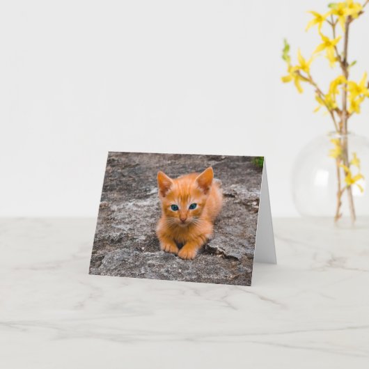 Kitten Love Kaart (Gele Bloem)