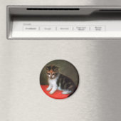 Kitten Magnet : Art Vintage de George Stubbs (In Situ (Lave-vaisselle))