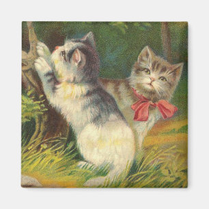  Kitten Magnet Magneet