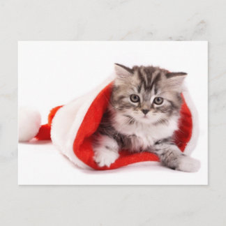 Kitten met een Santa Hat Feestdagenkaart