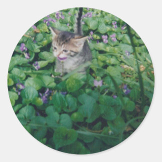 KITTEN MET VIOLETTE GLIMLACH RONDE STICKER