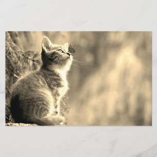 Kitten met vlindervriend briefpapier