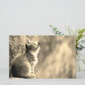 Kitten met vlindervriend briefpapier (Staand voorkant)