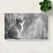 Kitten met vlindervriend post-it® notes (Kantoor)
