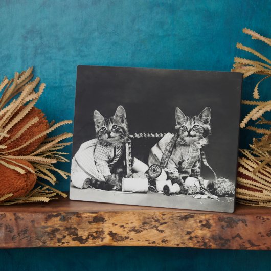 Kitten Mischief Makers 1914 Fotoplaat (Zijkant)