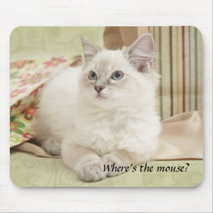 kitten mousemat muismat