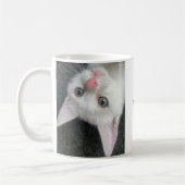 Kitten Mug, Funny Mug (Gauche)