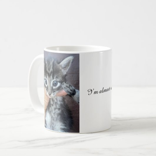 Kitten Mug, Procrastinator Mug, Funny Mug (Devant gauche)