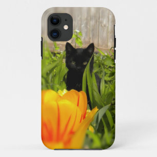 Kitten noir dans le jardin iPhone 5 Coque