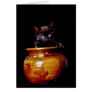 Kitten noir sort de la carte de pot en céramique