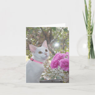 Kitten Note Kaart
