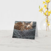 Kitten Notecard #1 Kaart (Gele Bloem)