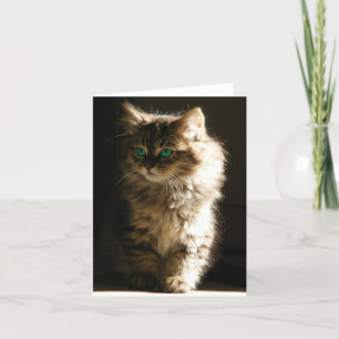 Kitten Notitiekaarten