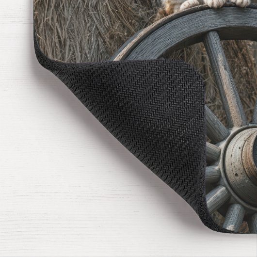 Kitten On an Old Wagon Wheel  Muismat (Hoek)