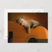 kitten-on-guitar briefkaart (Voorkant / Achterkant)