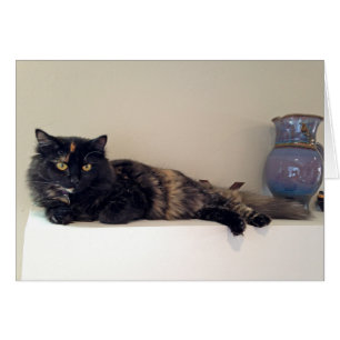 Kitten on the Mantel - Chats - Animaux domestiques