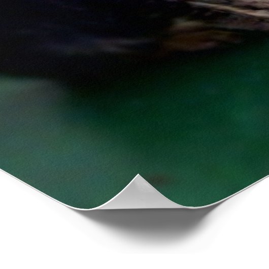 Kitten op het dak poster (Hoek)