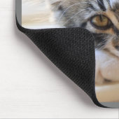 Kitten op Muismat voor Windows (Hoek)