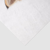 Kitten op Stack of Books 2 Decoupage Paper Tissuepapier (Detail)