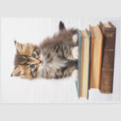 Kitten op Stack of Books 2 Decoupage Paper Tissuepapier (Voorkant)