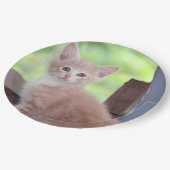 Kitten Papieren Bordje (Gekanteld)