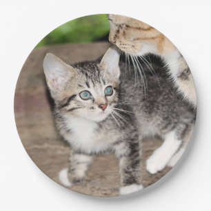 Kitten Papieren Bordje