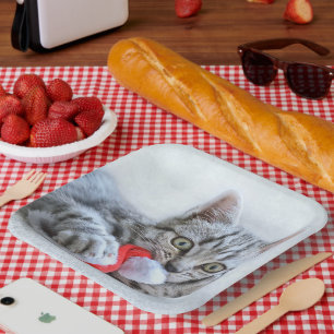 Kitten Papieren Bordje