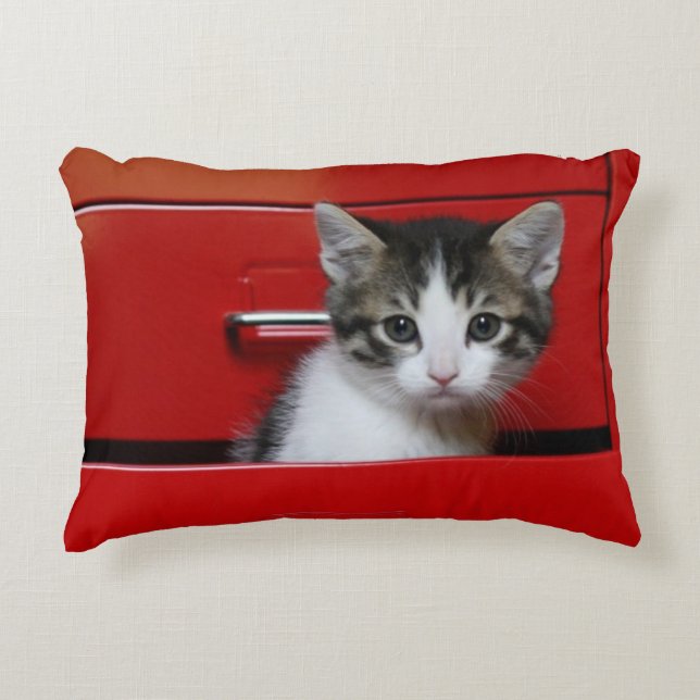 Kitten Peking Decoratief Kussen (Voorkant)